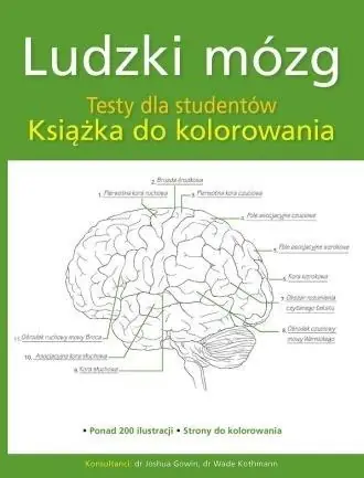 Ludzki mózg Testy dla studentów do kolorowania