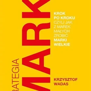 Strategia marki krok po kroku, czyli jak z marek małych zrobić marki wielkie