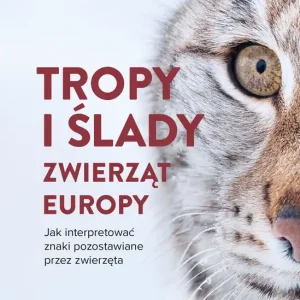 Tropy i ślady zwierząt Europy. Jak interpretować znaki pozostawiane przez zwierzęta