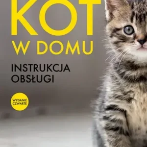 Kot w domu
