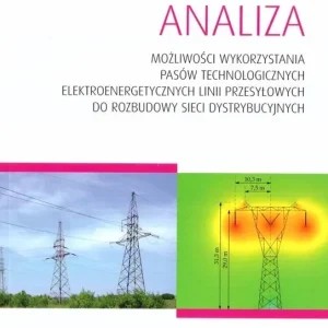 Analiza możliwości wykorzystania pasów technolog.