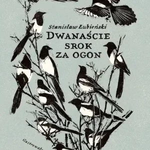 Dwanaście srok za ogon