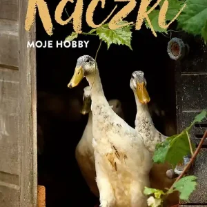 Kaczki moje hobby Poradnik początkującego hodowcy