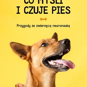 Co myśli i czuje pies Przygody ze zwierzęcą neuronauką