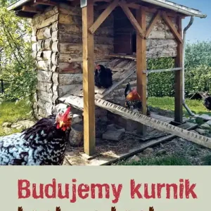 Budujemy kurnik krok po kroku