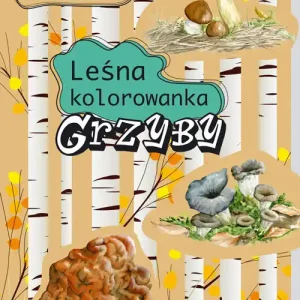 Grzyby. Leśna kolorowanka