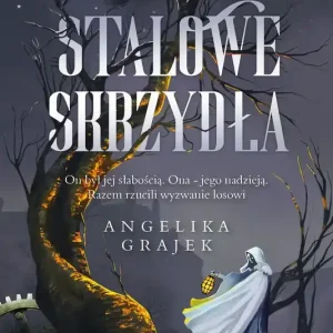 Stalowe skrzydła