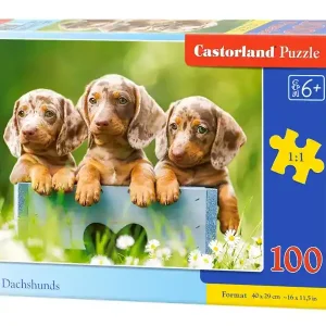 Puzzle 100 Urocze jamniki B-111213