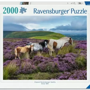Puzzle 2000 Wild Horses in the Heather