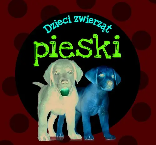 Dzieci zwierząt - pieski