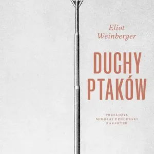 Duchy ptaków
