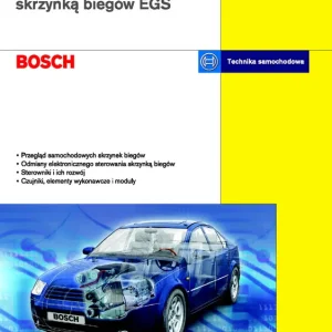 Elektroniczne sterowanie skrzynką biegów EGS
